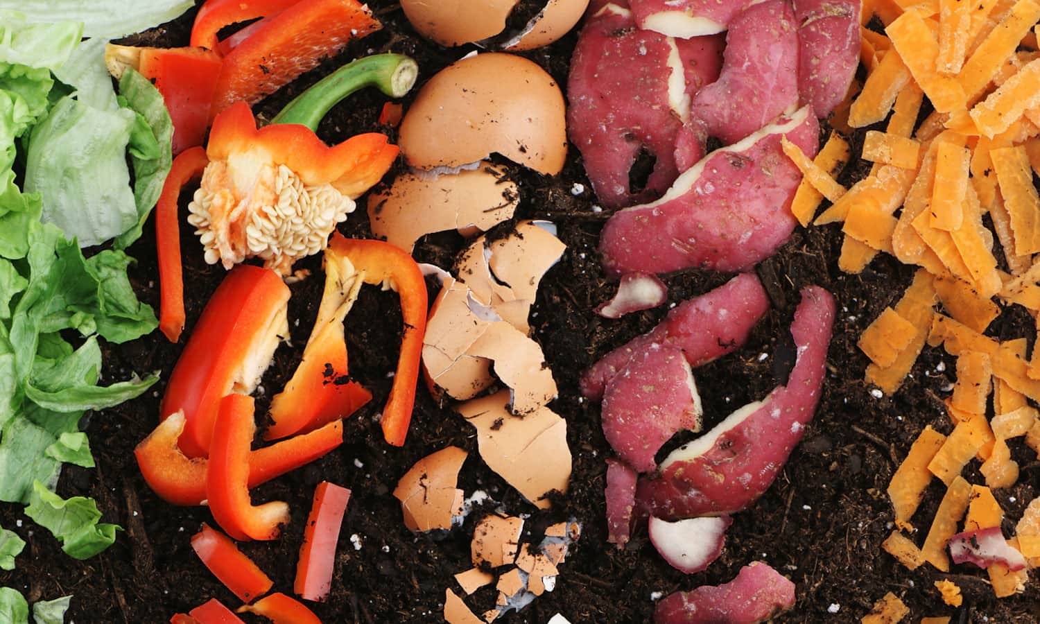 Popular Science The US stinks at composting. Here’s how we can change that. Institute for