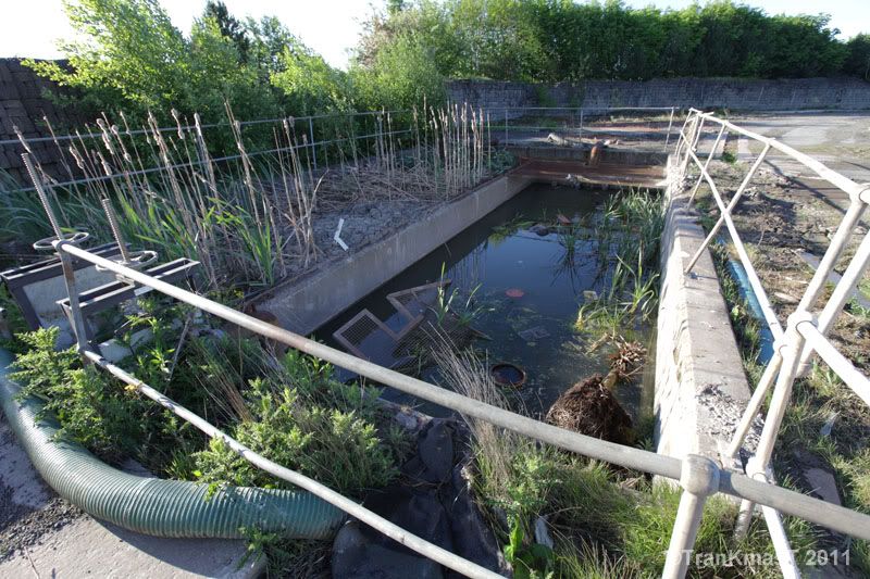 Edwin Richards Quarry, Rowley Regis, May 2011 Derelict Places Urban