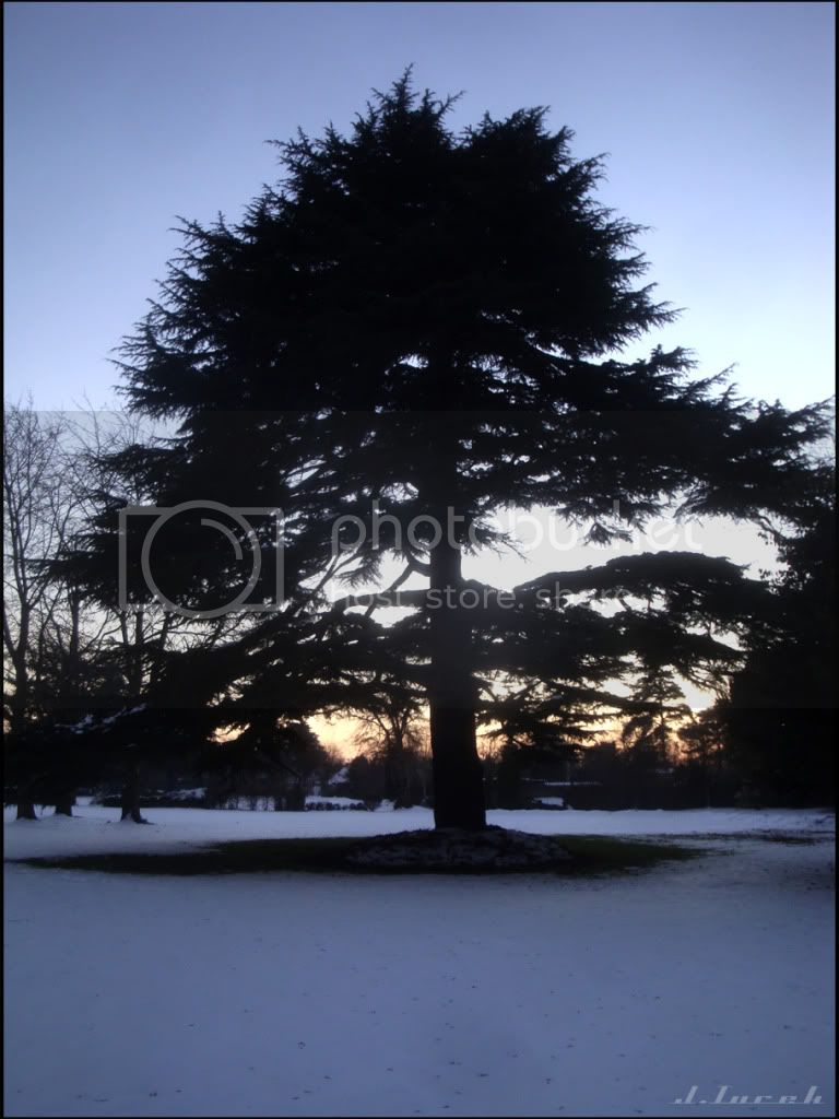 Crown House, Crown Lane, Farnham Royal (Slough) Christmas Day