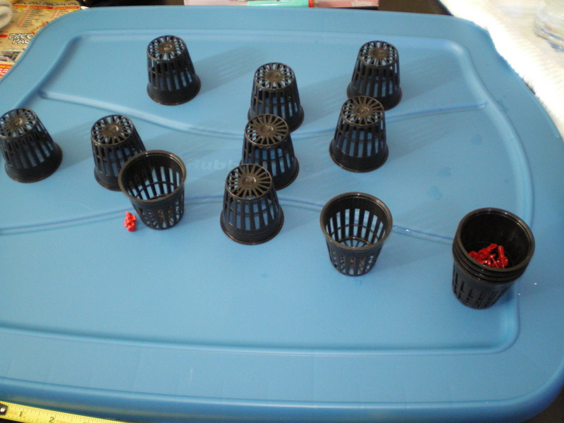 Diy Cloning Machine Marijuana Growing & Cannabis Forum