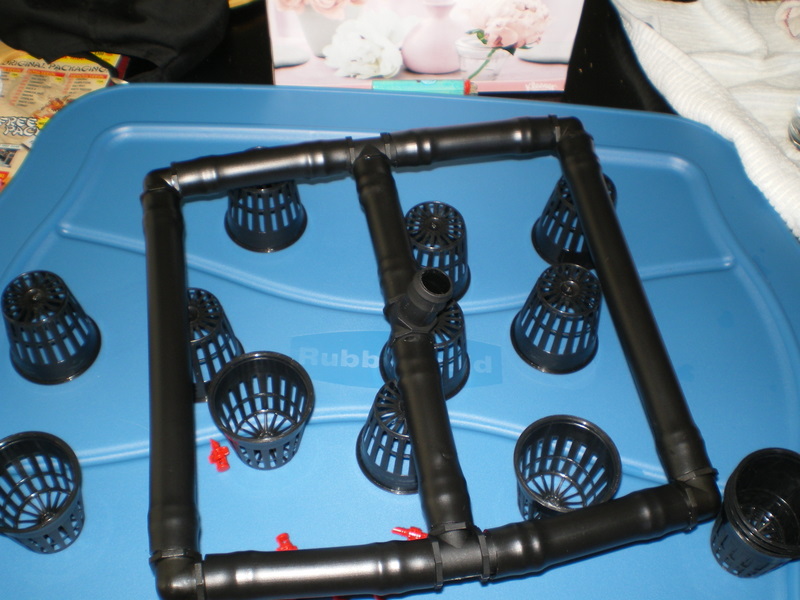 Diy Cloning Machine Marijuana Growing & Cannabis Forum