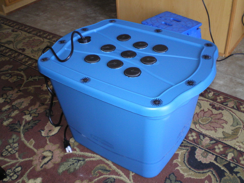 Diy Cloning Machine Marijuana Growing & Cannabis Forum