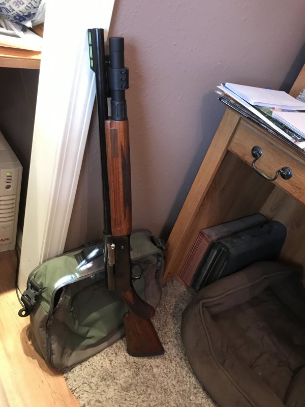 Browning Auto5 Pawn Shop Find Oklahoma Shooters