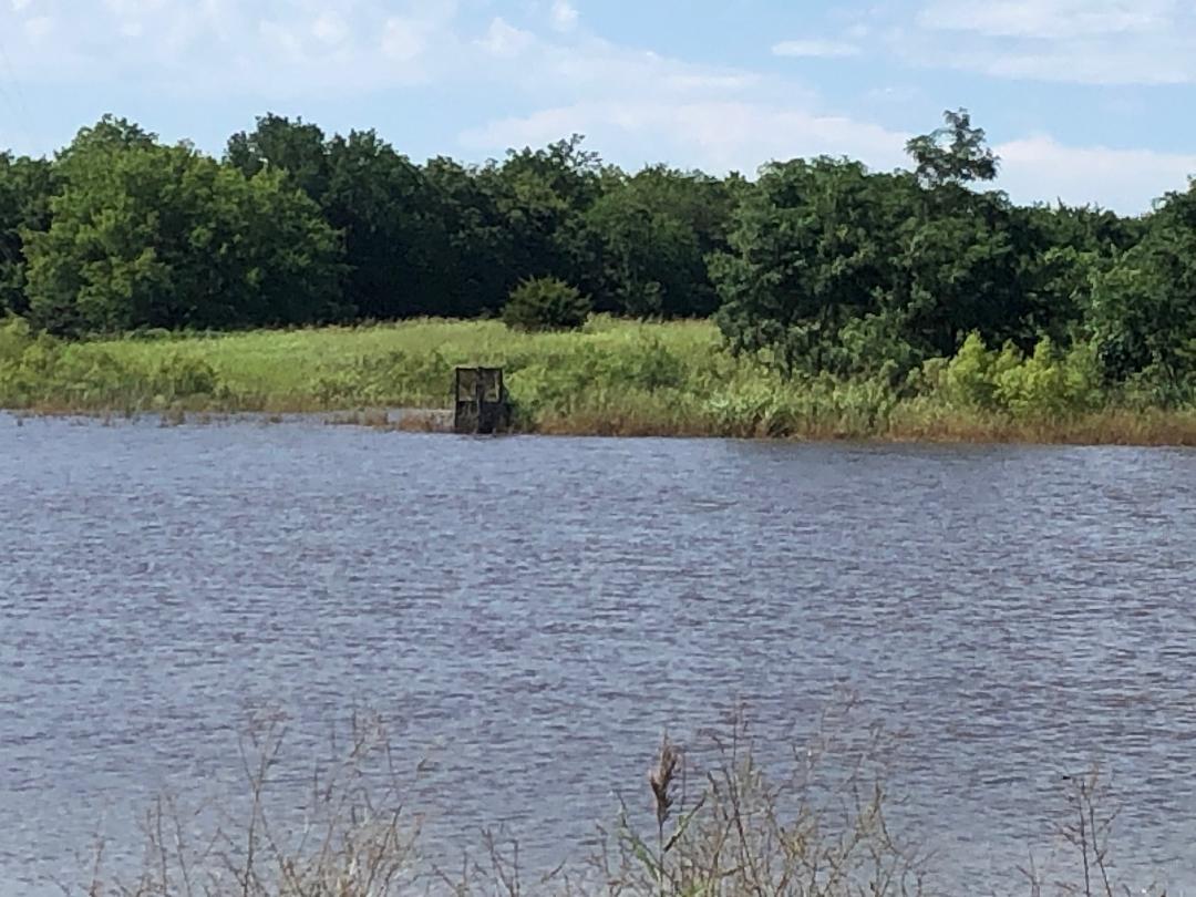 2023 waterfowl. Oklahoma Shooters