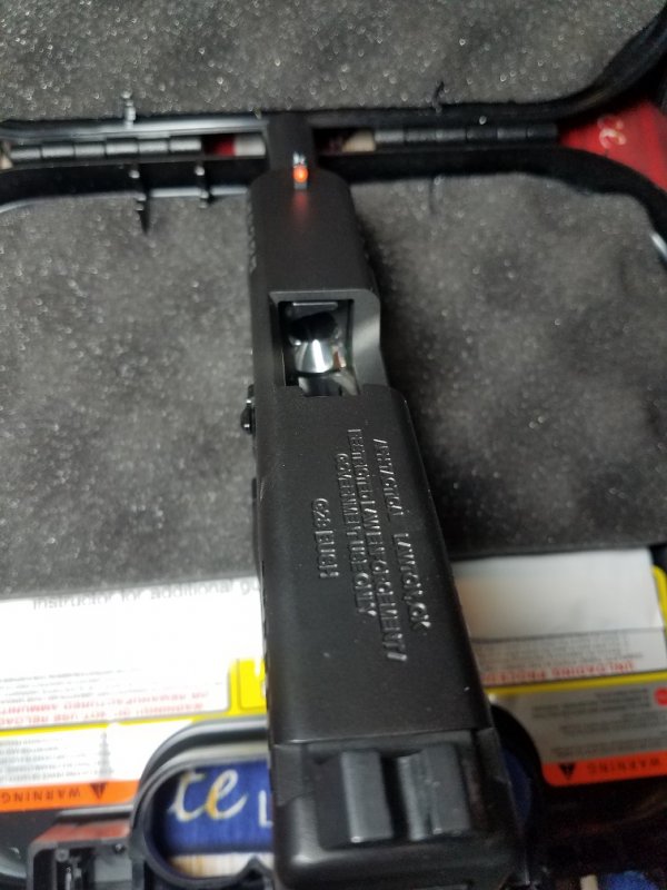 The ultimate gun for hunting or backpacking in bear country. The G29