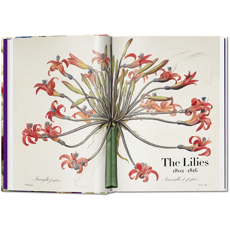 Redouté. The Book of Flowers. 40th Ed. TASCHEN KOREA