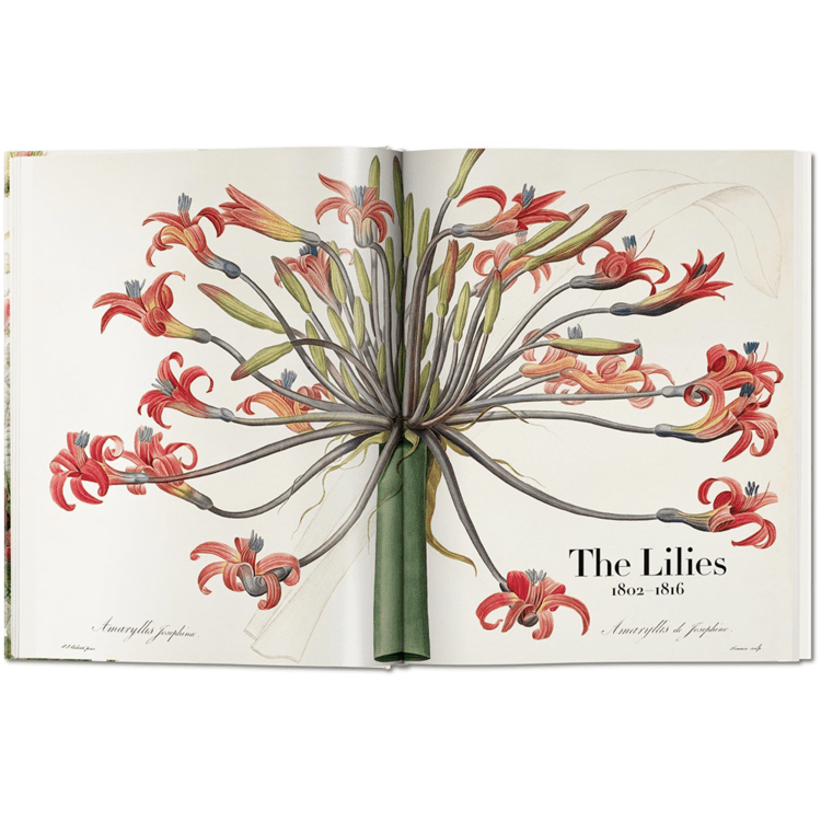 Redouté. The Book of Flowers TASCHEN KOREA
