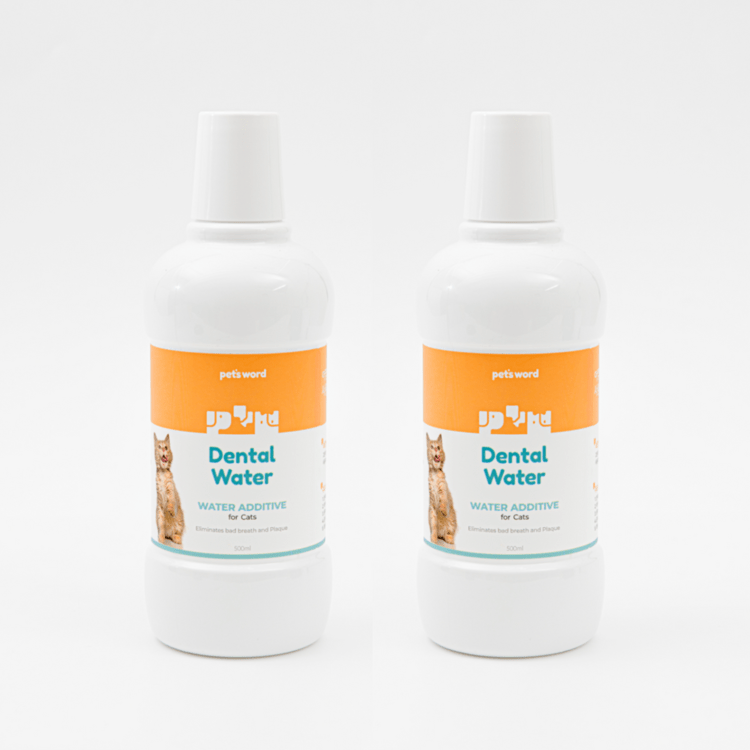 펫츠워드 덴탈워터 500ml * 2개