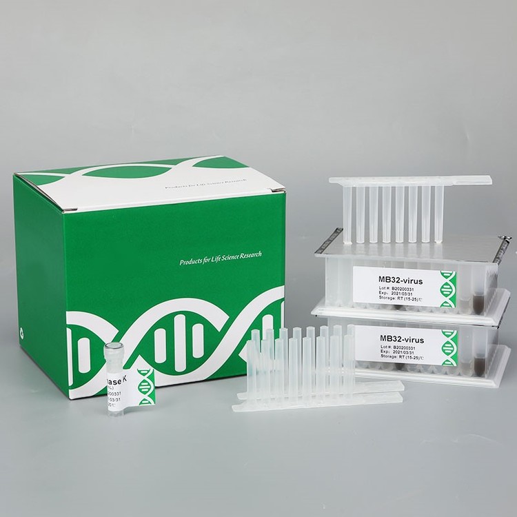 Saliva Genomic DNA Extraction Kits (Prepacked Beads) CHEMCOKOREA 켐코코리아