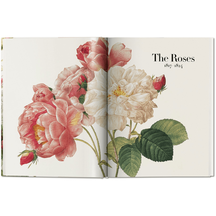 Redouté. The Book of Flowers 어바웃아트 ABOUTART