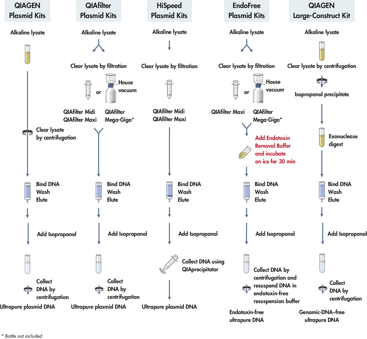 QIAGEN의 다양한 plasmid DNA purification kit 주요브랜드 자세한 product information