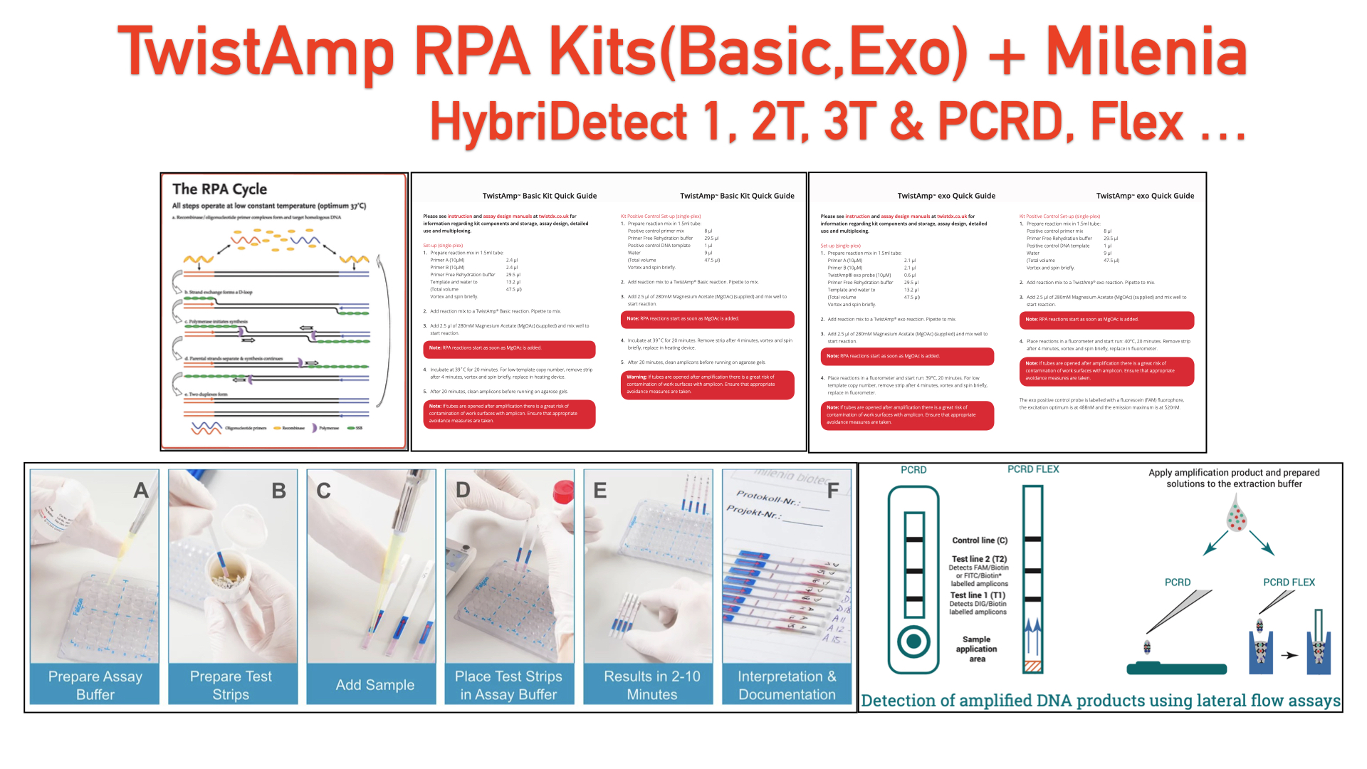 TwistAmp® nfo Kit > TwistAmp Exo kit로 도전해보세요 이앤씨바이오