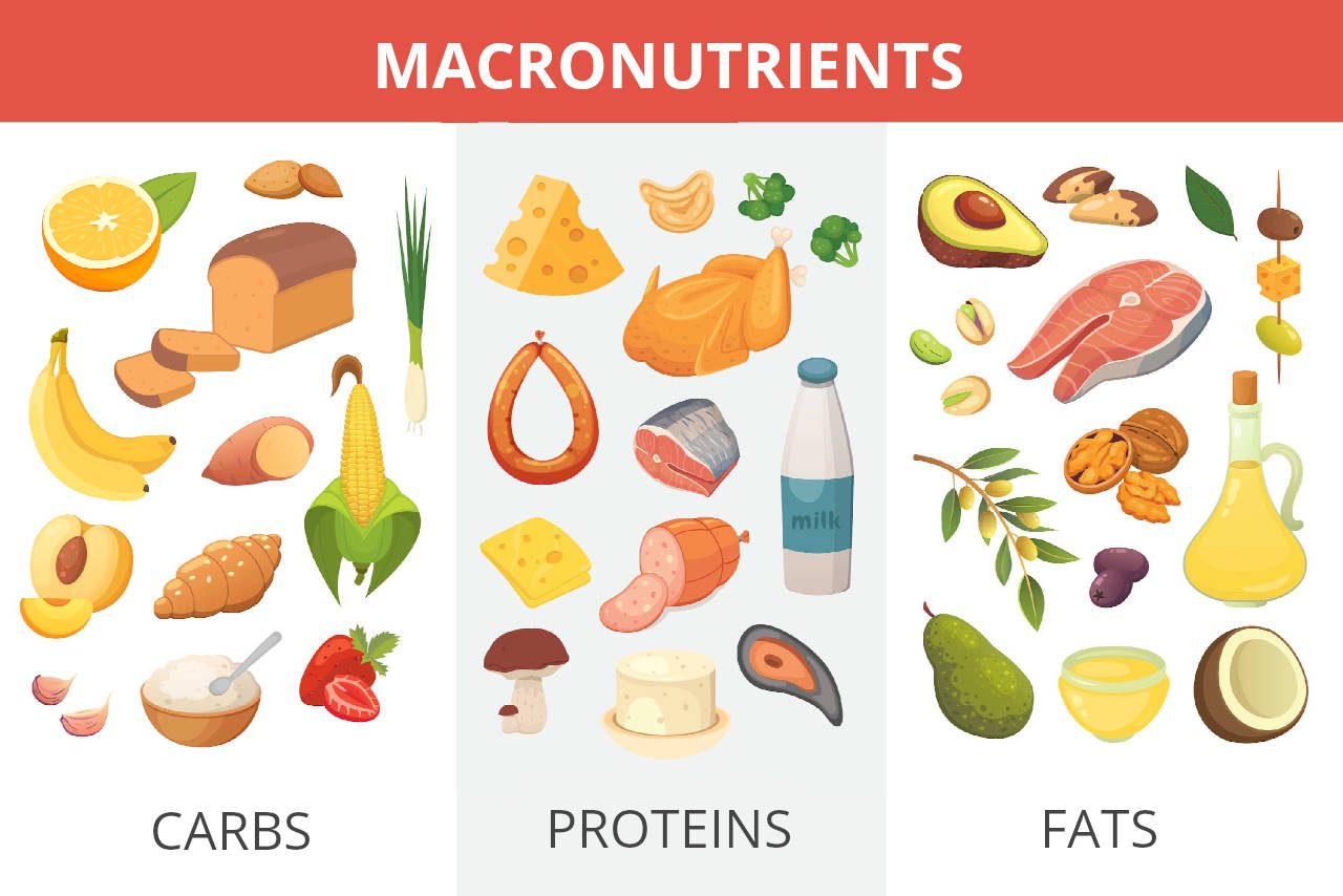 Macros Calculator How to Count Macros Like an Expert Inch Calculator