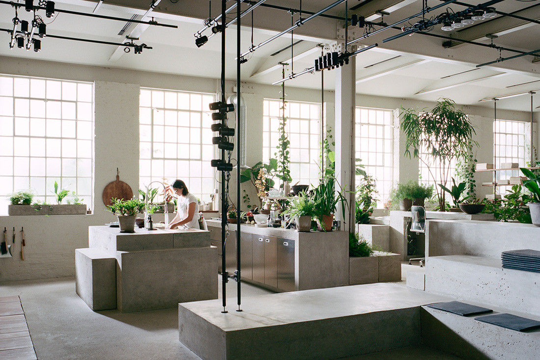 10 pet friendly workplaces that deserve design kudos Indesignlive