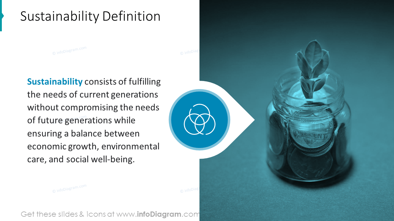 Sustainability Definition