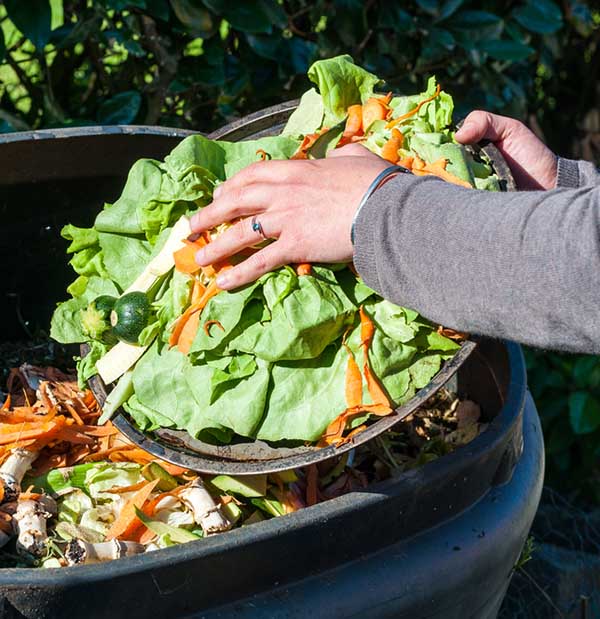Kitchen Composter Turns Food into Fertilizer in 24 Hours