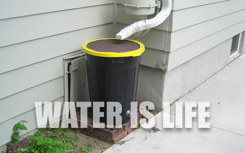 Four More Plans for a DIY Rain Barrel