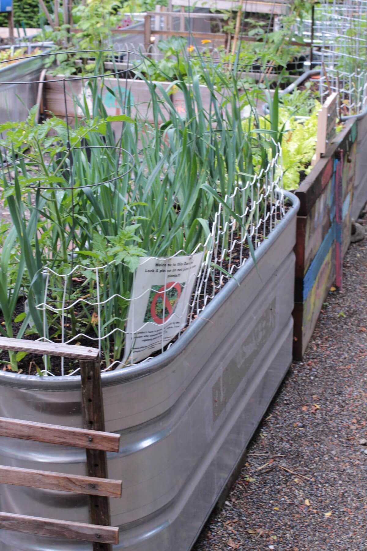 Galvanized Water Trough Planters • Insteading