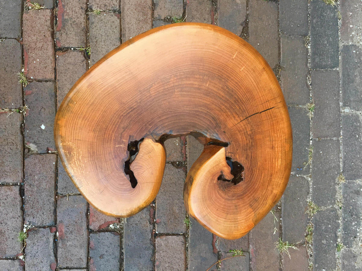 25 Tree Stump Tables • Insteading