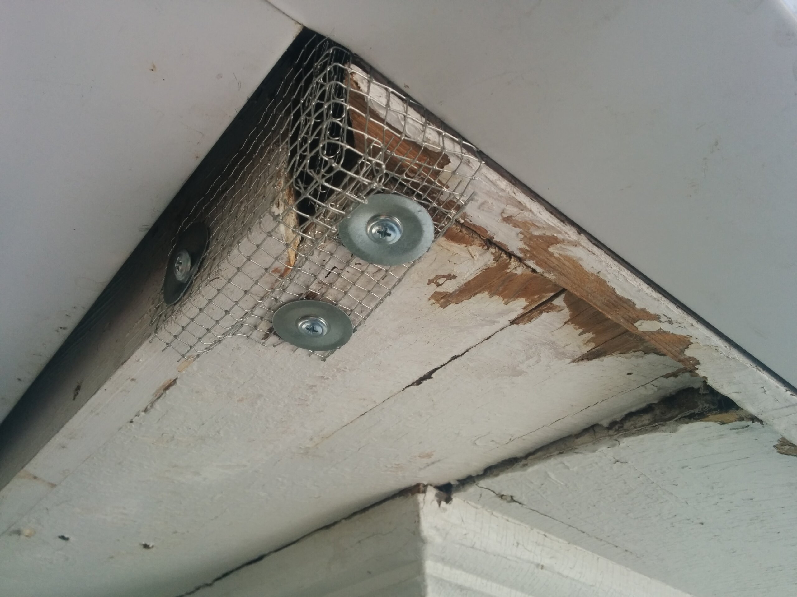 7 Ways To MouseProof Your Homestead • Insteading