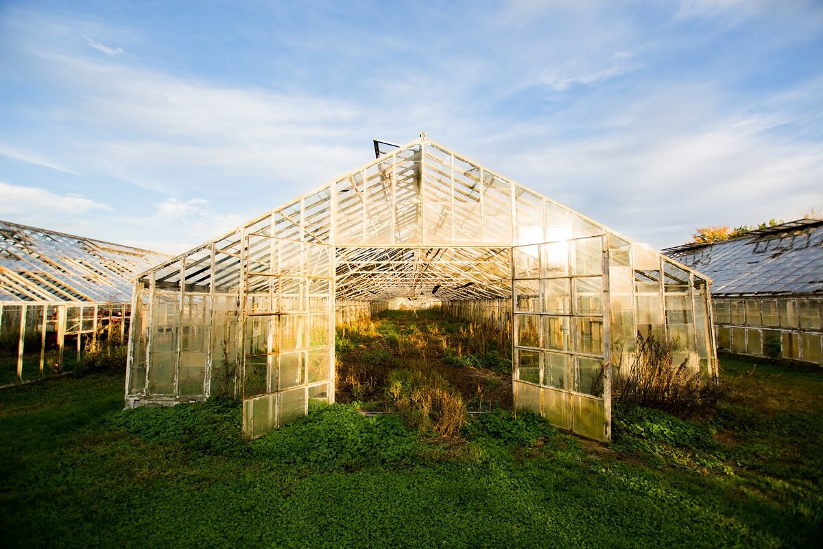 Greenhouse Plans • Insteading
