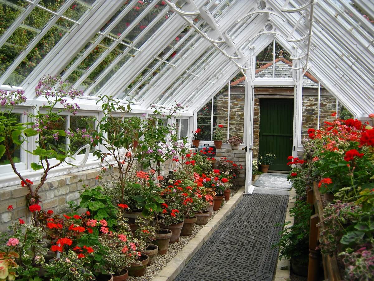10 Greenhouse Plants To Get A Jumpstart On The Gardening Season