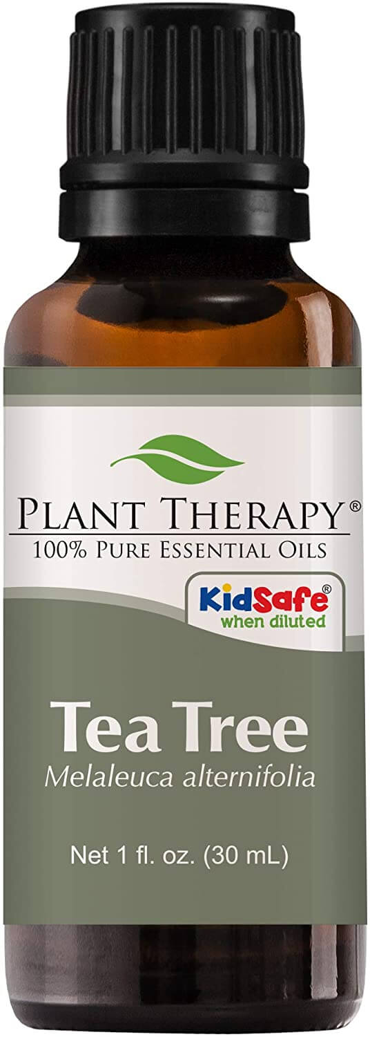 17 Natural Mosquito Repellent Options For The Home And Garden • Insteading