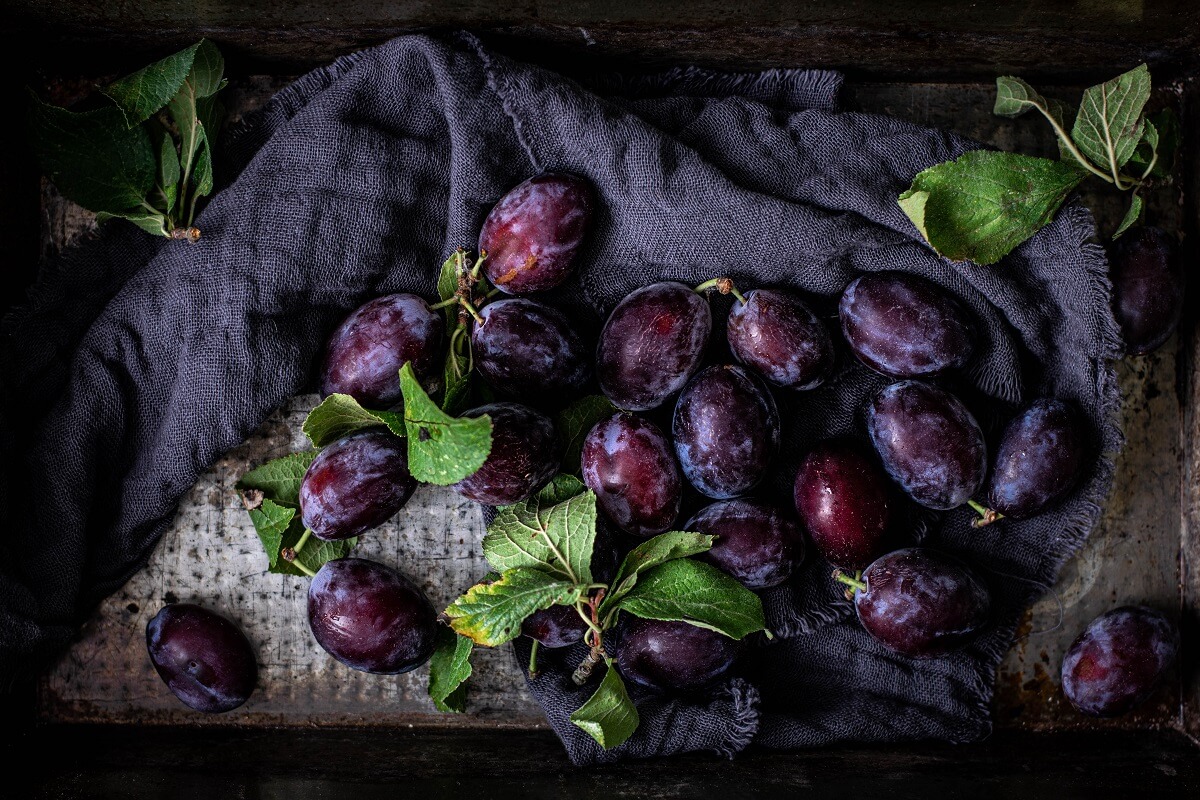 Plum Recipes Ideas