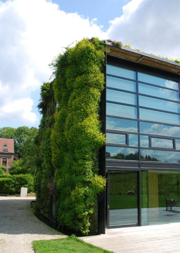 Living Walls (Green Walls) • Insteading