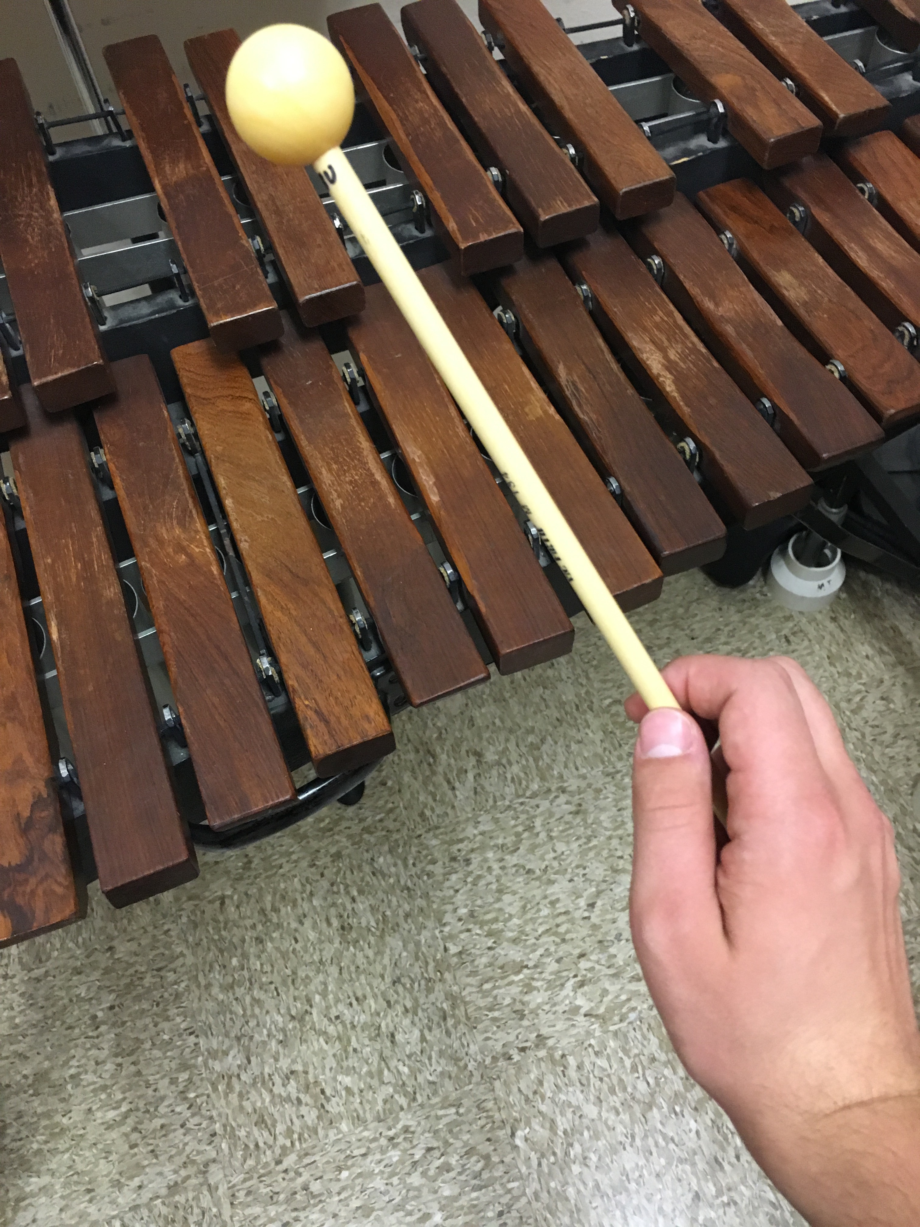 Learning to Play the Xylophone 5 Steps (with Pictures)