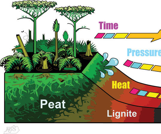 How Fossil Fuels Are Formed Instructables
