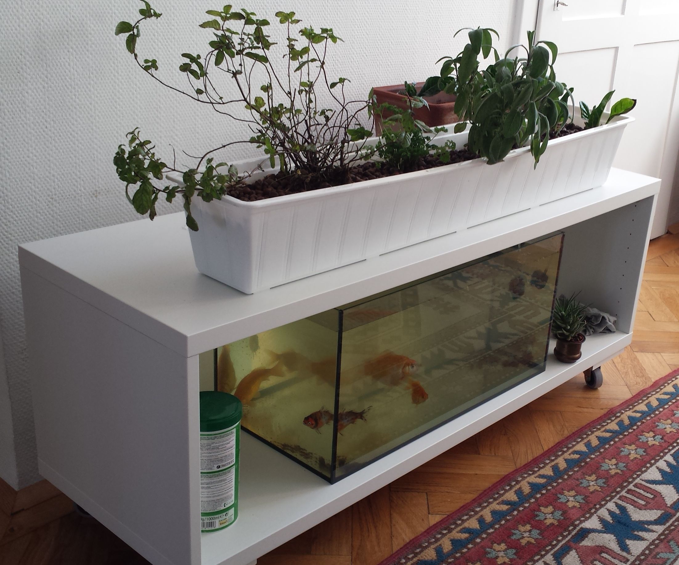 Ikea Shelf Turned Into an Indoor Aquaponics System 4 Steps (with