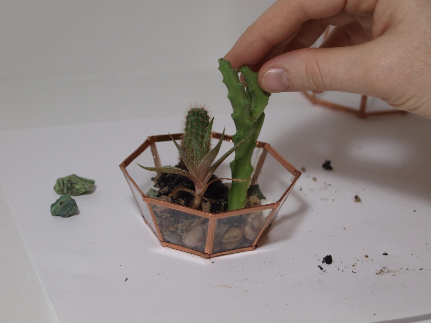 Geometric Crystal Terrarium Out Of CD Cases All