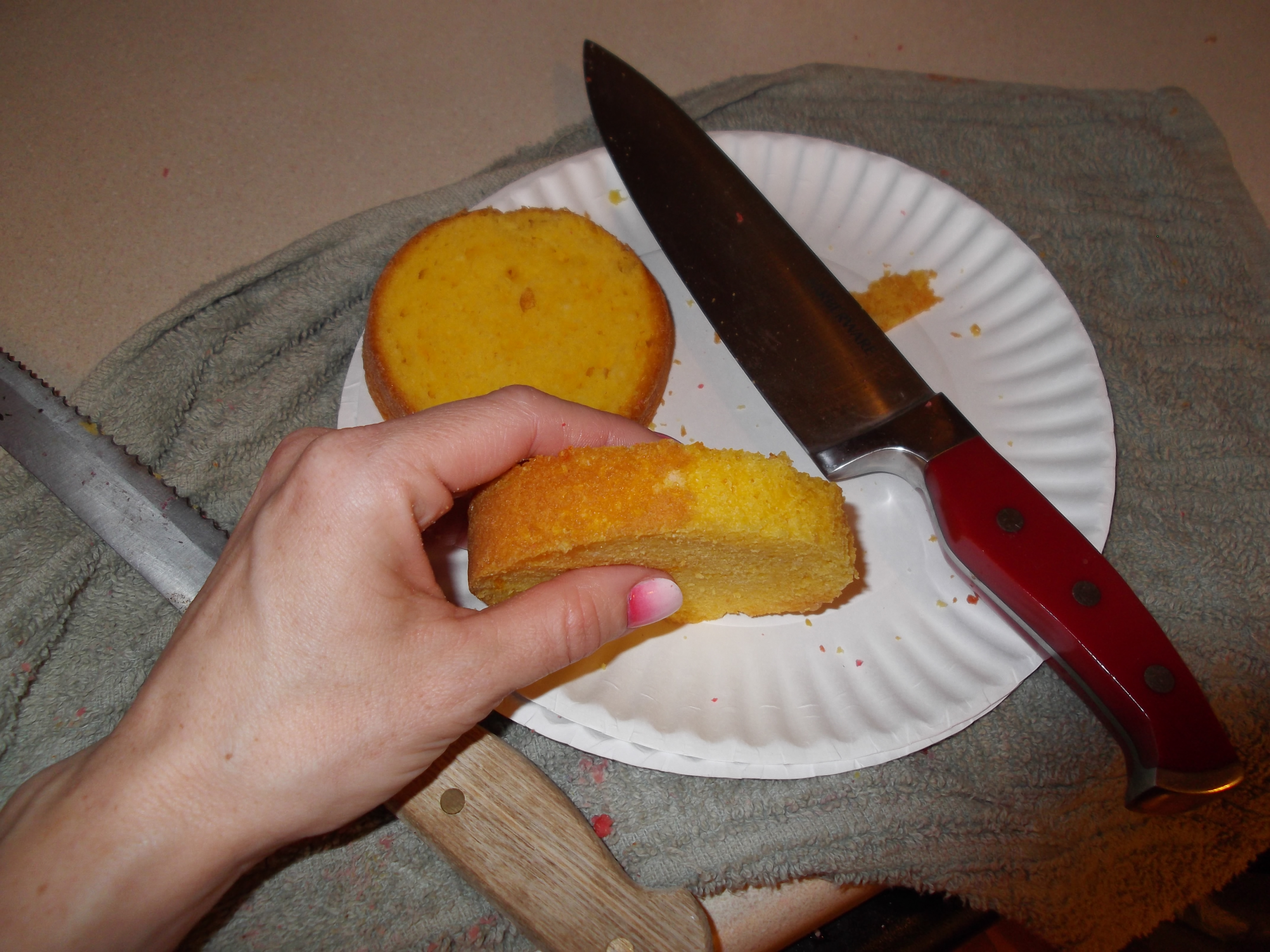 Layered Cake in a Can (with Pictures)