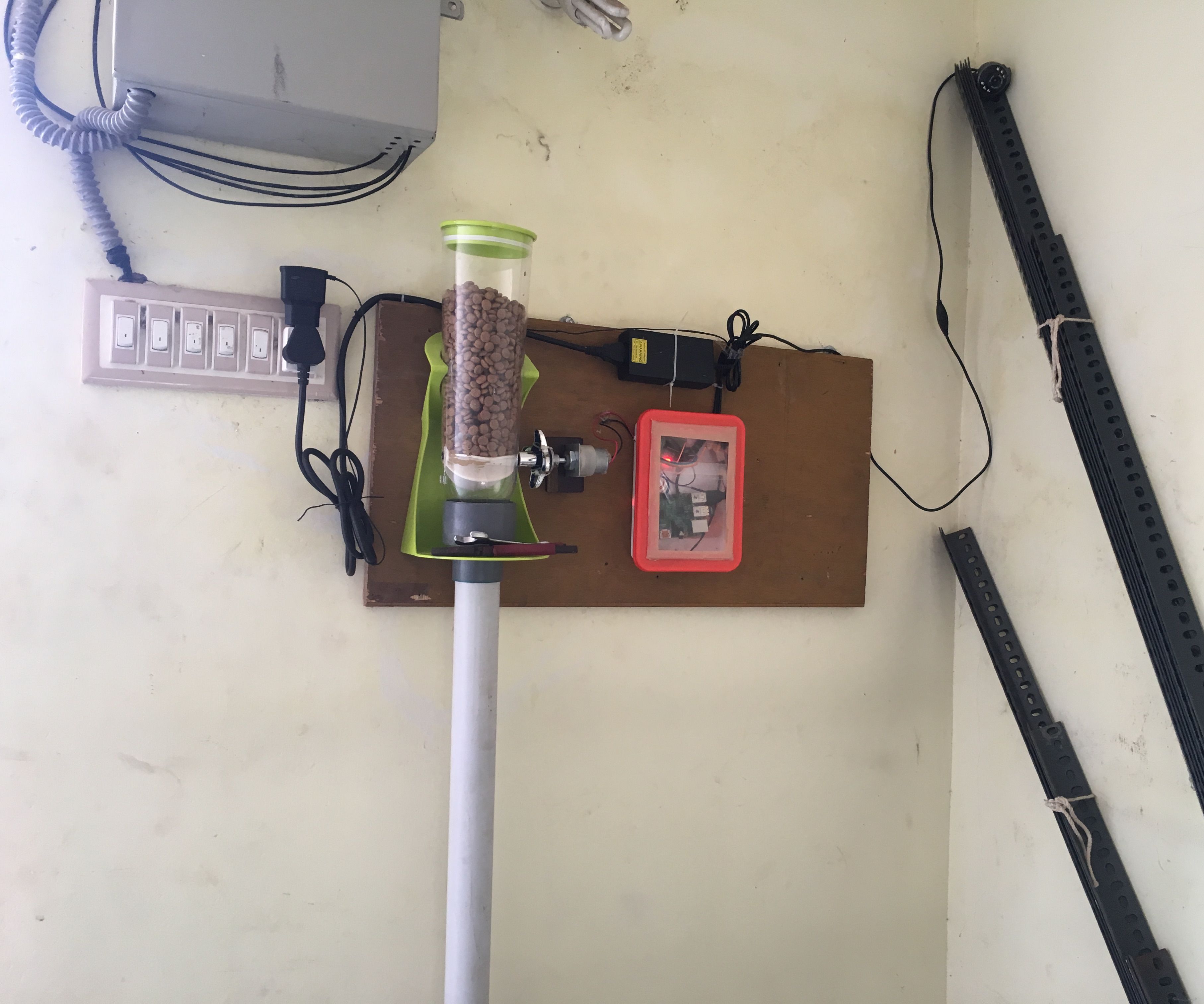 Raspberry Pi Automatic Dog Feeder & Live Video Streamer 3 Steps
