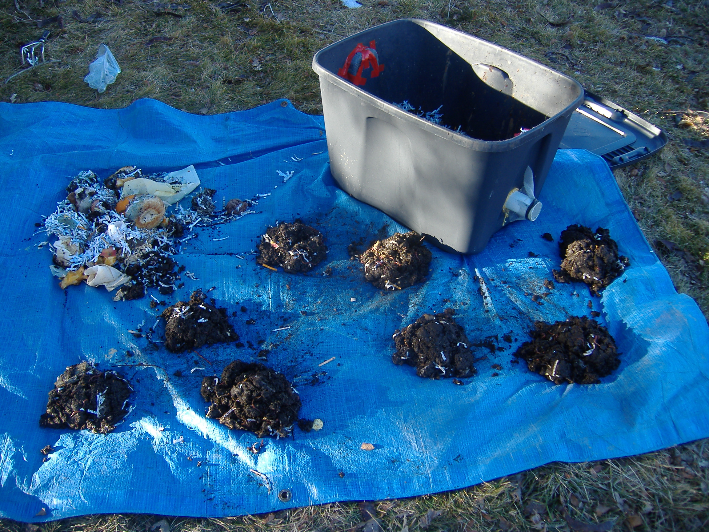 Caring for Your Worm Bin 6 Steps Instructables