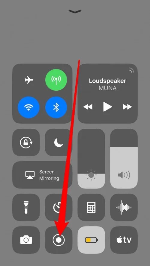 How to Screen Record with Audio on iPhone (UPDATED FOR iOS 12