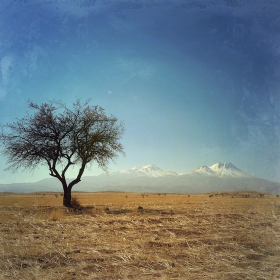 How To Take Great Landscape Photos With Your iPhone