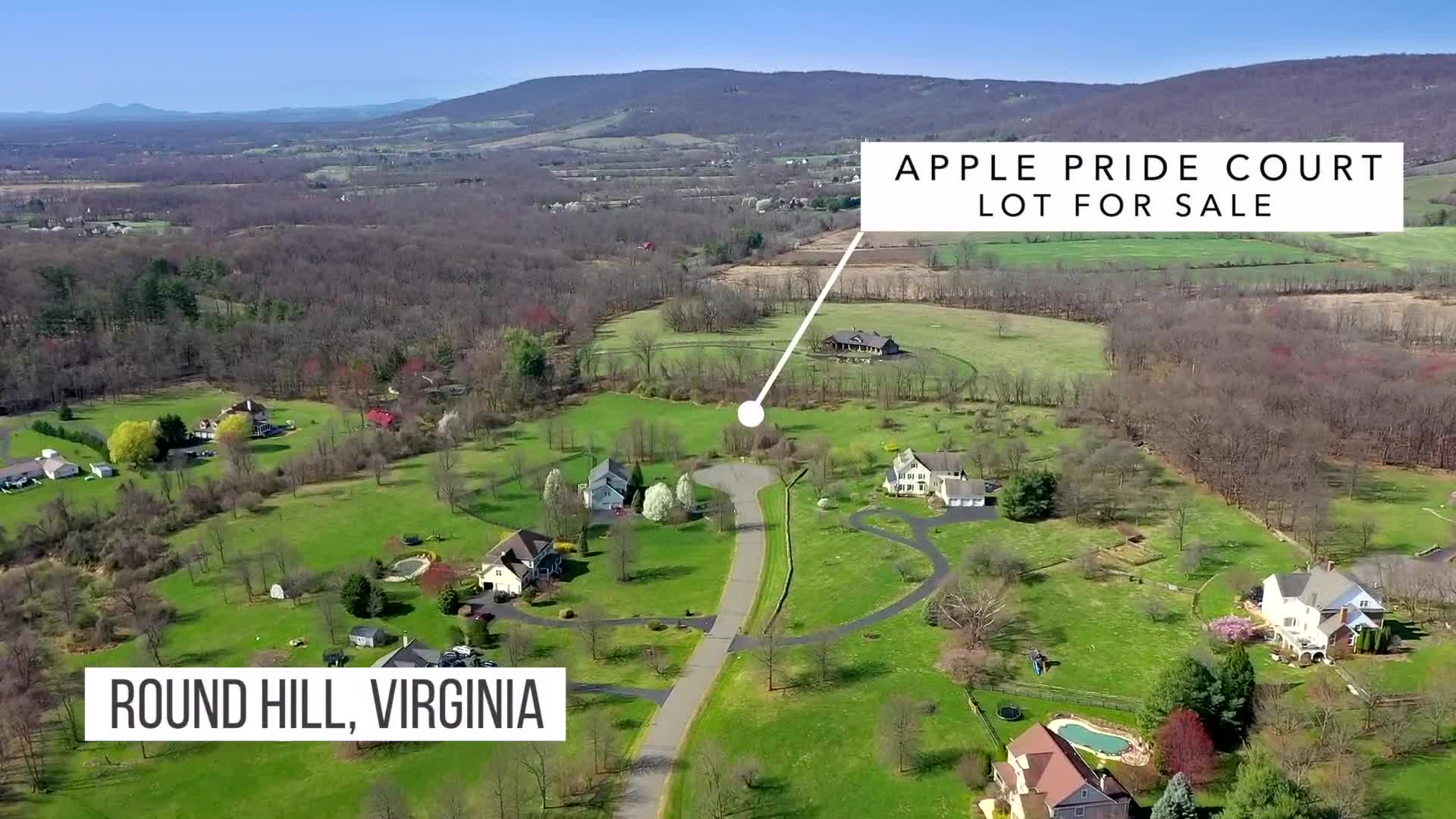 MLS Apple Pride Court Video