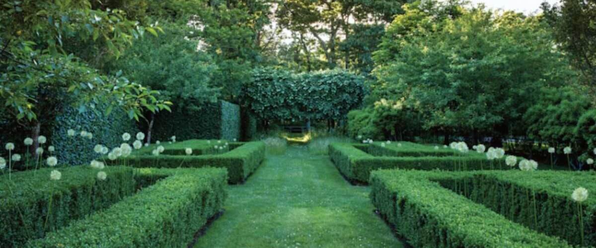 10 Low Maintenance Plants That Can Grow All Year Round