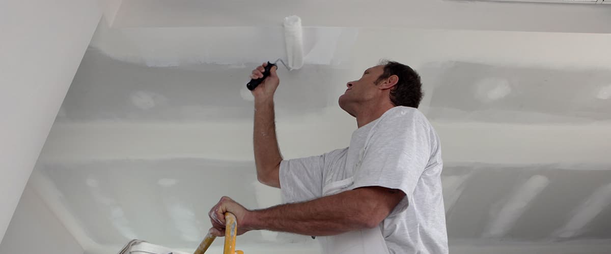 What is the cost to repair damaged plaster walls?