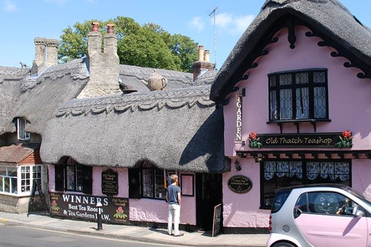 Old Thatch Shanklin Explore the Isle of Wight