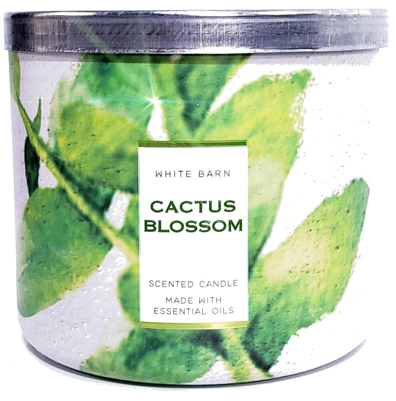 Cactus Blossom 3 Wick Candle Tropical Design / Homestyle Lid Online