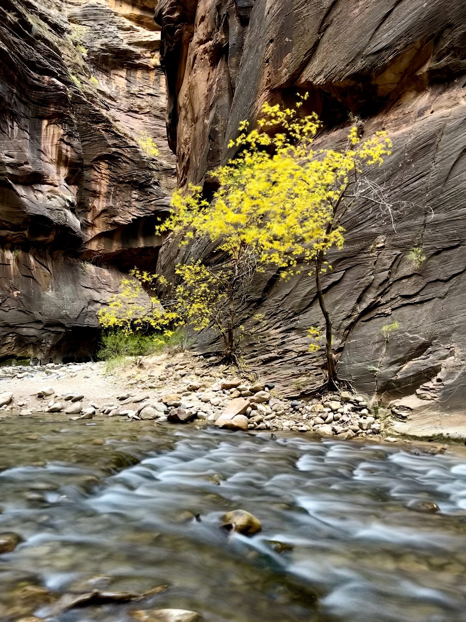 iPhone 12 Pro Max camera ideal for adventure photography says Austin Mann