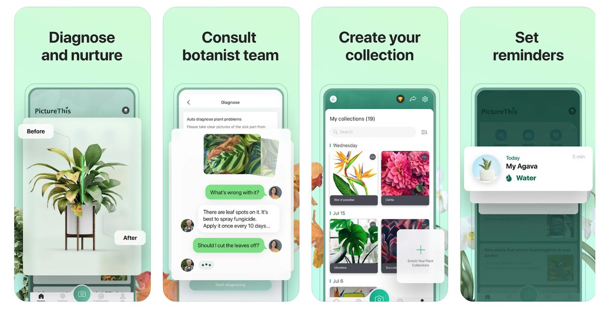 Picture This app lets you identify plants using your iPhone's camera and AI