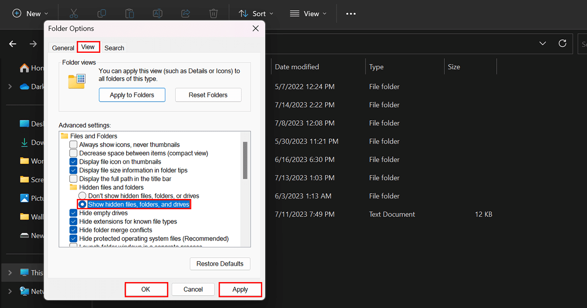 How to show hidden files in Windows 11 iThinkDifferent