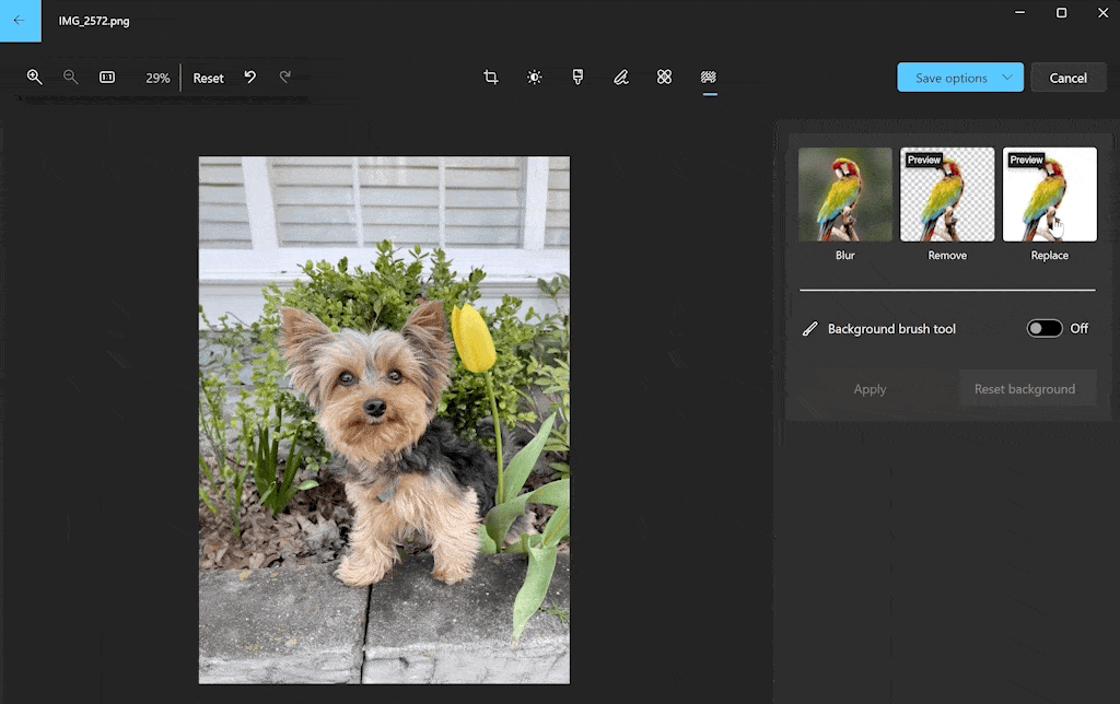 Windows 11 updates Photos app with background removal and replacement