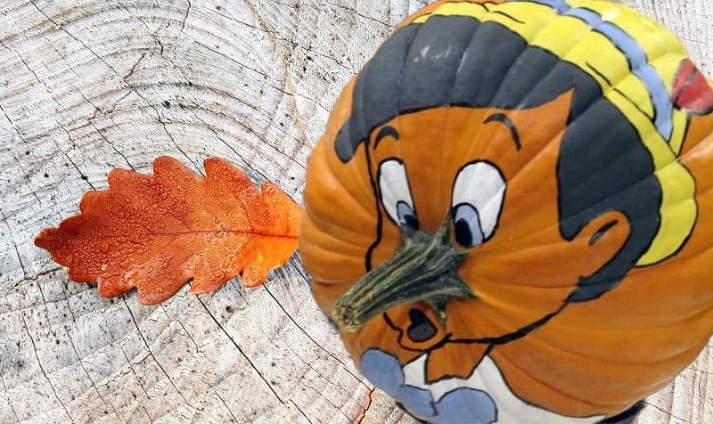 Best 10 NoCarve Pumpkins for Halloween Page 7 of 10 iTopTopics