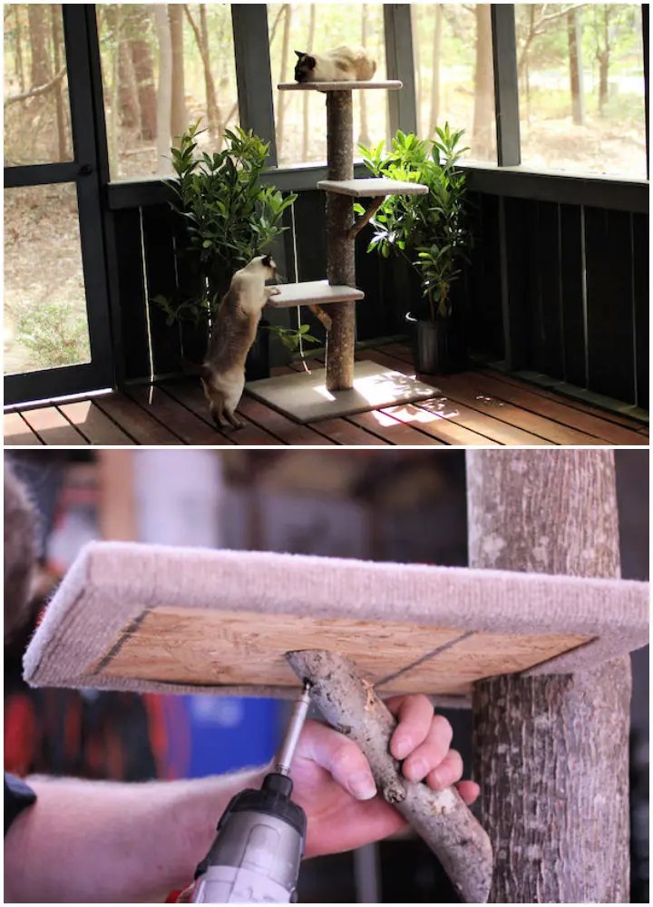 22 Free DIY Cat Tree Plans (How to Build a Cat Tree)