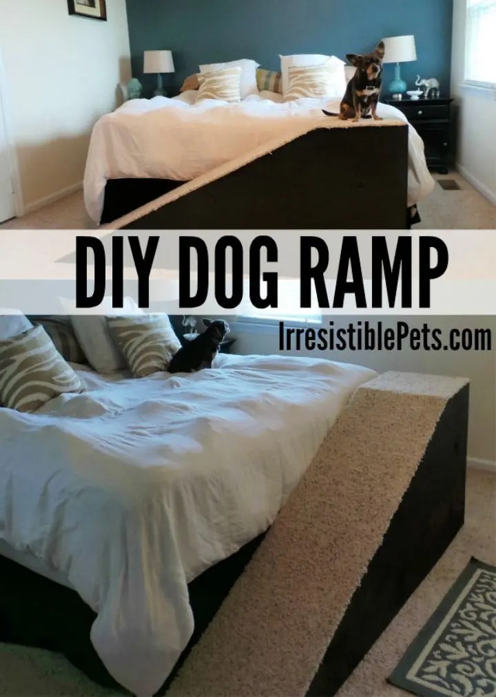 15 Free DIY Dog Ramp Plans For Bed, Car, Couch, Stairs